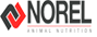 NOREL