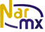 Narmx